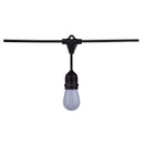 Starfish Smart LED Tunable White String Lights