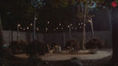 Starfish WiFI Smart LED Indoor/Outdoor 24 Ft. 10 Bulb String Lights