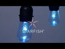 Starfish 4-Pin S14 LED Replacement String Lamp for use with Starfish String Light S11288